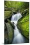 Mossy Rocks on Cascade-Michael Blanchette-Mounted Photographic Print