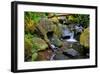 Mossy Stream-Michael Broom-Framed Art Print