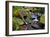 Mossy Stream-Michael Broom-Framed Art Print