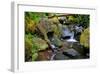 Mossy Stream-Michael Broom-Framed Art Print