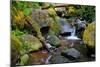 Mossy Stream-Michael Broom-Mounted Art Print