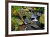 Mossy Stream-Michael Broom-Framed Art Print