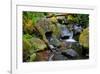 Mossy Stream-Michael Broom-Framed Art Print