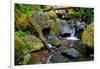 Mossy Stream-Michael Broom-Framed Art Print