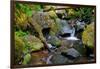 Mossy Stream-Michael Broom-Framed Art Print