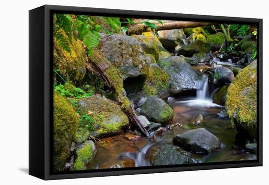 Mossy Stream-Michael Broom-Framed Stretched Canvas