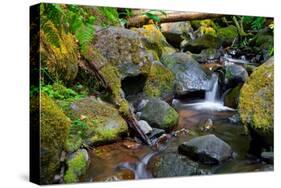 Mossy Stream-Michael Broom-Stretched Canvas