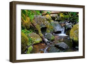 Mossy Stream-Michael Broom-Framed Premium Giclee Print