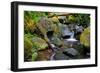 Mossy Stream-Michael Broom-Framed Premium Giclee Print