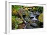 Mossy Stream-Michael Broom-Framed Premium Giclee Print