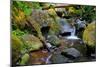 Mossy Stream-Michael Broom-Mounted Premium Giclee Print