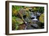 Mossy Stream-Michael Broom-Framed Art Print