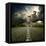 Most Asphalt Road. Shallow Depth Of Field-Krivosheev Vitaly-Framed Stretched Canvas