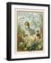 Most Versions Have a Big Spider But This Has Only a Little One-Eleanor Vere Boyle-Framed Art Print