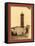 Mostaganem, Mosque, Algiers-Etienne & Louis Antonin Neurdein-Framed Stretched Canvas