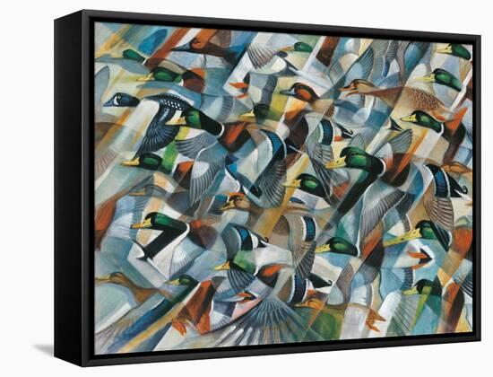 Mostly Mallards-Ron Jenkins-Framed Stretched Canvas