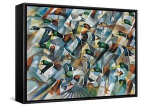 Mostly Mallards-Ron Jenkins-Framed Stretched Canvas