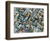 Mostly Mallards-Ron Jenkins-Framed Art Print