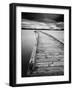 Motchia-Moises Levy-Framed Premium Photographic Print