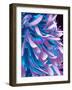 Moth Body Surface, SEM-Susumu Nishinaga-Framed Photographic Print