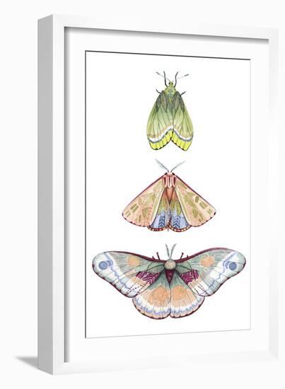 Moth Fairies II-Grace Popp-Framed Art Print