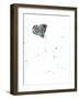 Moth {Fay-Erie Dust}, 2014-Bella Larsson-Framed Giclee Print