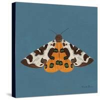 Moth II Sq-Farida Zaman-Stretched Canvas