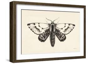 Moth IV-Avery Tillmon-Framed Art Print