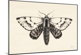Moth IV-Avery Tillmon-Mounted Art Print