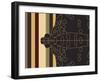 Moth Mapping Stripe-Belen Mena-Framed Giclee Print