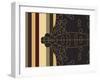 Moth Mapping Stripe-Belen Mena-Framed Giclee Print