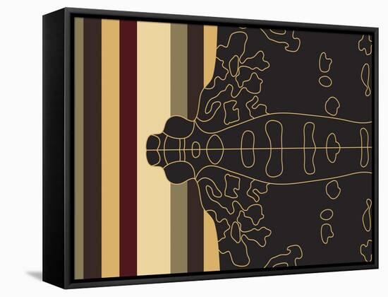 Moth Mapping Stripe-Belen Mena-Framed Stretched Canvas