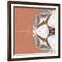 Moth Meditation-Belen Mena-Framed Giclee Print