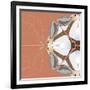 Moth Meditation-Belen Mena-Framed Giclee Print
