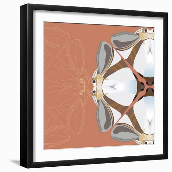 Moth Meditation-Belen Mena-Framed Giclee Print