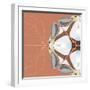 Moth Meditation-Belen Mena-Framed Giclee Print