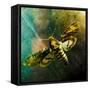 Moth Moments-Clive Nolan-Framed Stretched Canvas