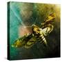 Moth Moments-Clive Nolan-Stretched Canvas