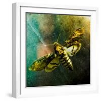 Moth Moments-Clive Nolan-Framed Photographic Print
