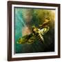 Moth Moments-Clive Nolan-Framed Photographic Print