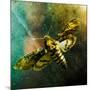 Moth Moments-Clive Nolan-Mounted Photographic Print