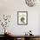 Moth on Cashew Apple-Maria Sibylla Merian-Framed Art Print displayed on a wall