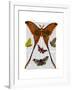 Moth Plate 1-Fab Funky-Framed Art Print