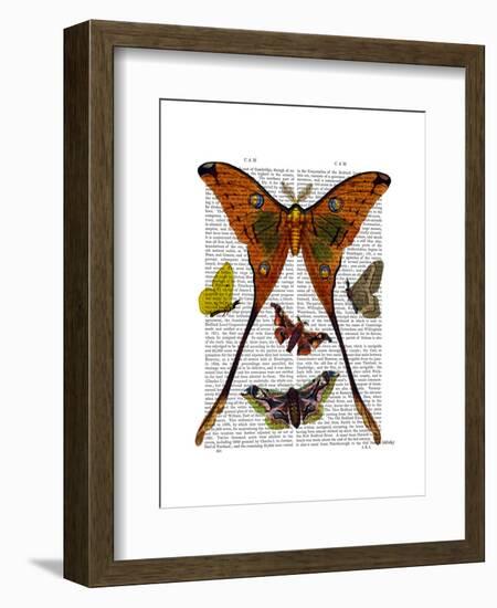 Moth Plate 1-Fab Funky-Framed Art Print