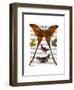 Moth Plate 1-Fab Funky-Framed Art Print