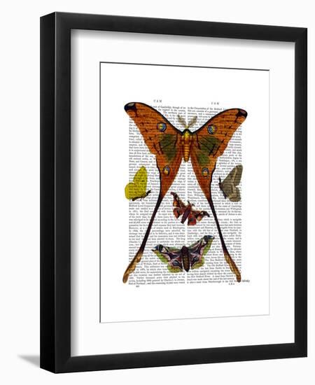 Moth Plate 1-Fab Funky-Framed Art Print