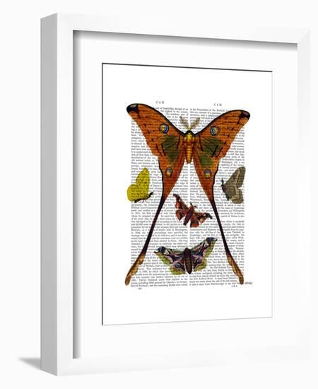 Moth Plate 1-Fab Funky-Framed Art Print