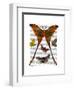 Moth Plate 1-Fab Funky-Framed Art Print