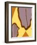 Moth Zoom-Belen Mena-Framed Giclee Print