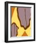 Moth Zoom-Belen Mena-Framed Giclee Print